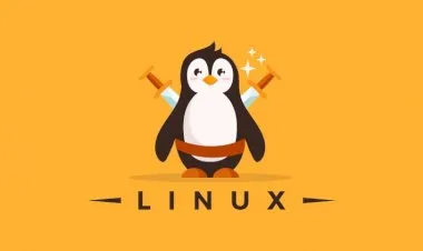 Linux Mastery: Master the Linux Command Line in 11.5 Hours