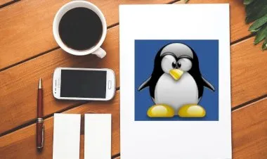 Linux Administration with Troubleshooting Skills: Hands-On