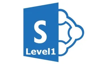 SharePoint Online - Level 1