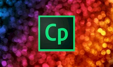 Adobe Captivate - Responsive Custom Quiz Questions