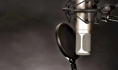 Become a professional Voice Actor in 7 easy steps.