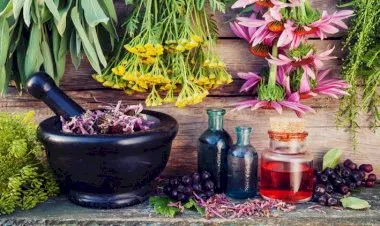 Introduction to Herbalism