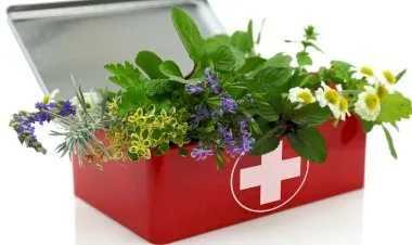 Herbalism :: Essential First Aid Remedies Certificate