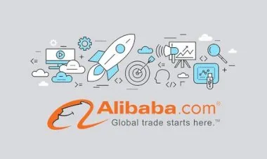 Complete Alibaba Dropshipping Business: From Zero To Hero