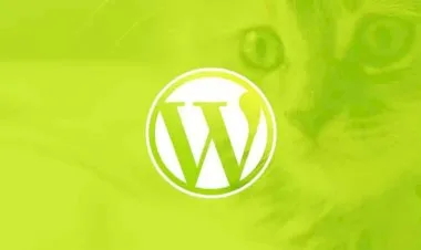 WordPress for Beginners: Create a Website Step by Step