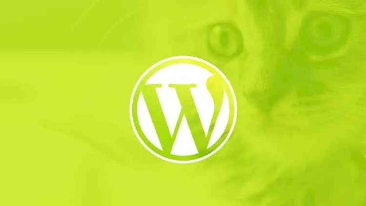 WordPress for Beginners: Create a Website Step by Step