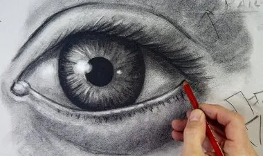 The Complete Drawing Masterclass: From Beginner to Advanced