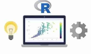 Data Science and Machine Learning Bootcamp with R