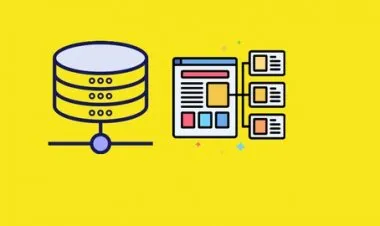 SQLite Databases | Python Programming: (Build App and API )