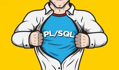 The Complete PL/SQL Bootcamp : "Beginner to Advanced PL/SQL"