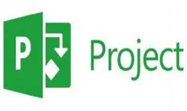 MS Project Professional Beginner to Expert.