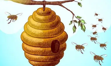 Artificial bee colony Optimization Algorithm (Using MATLAB)