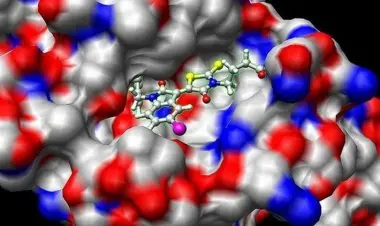 Bioinformatics; Learn Docking & Mol Dynamics Simulation