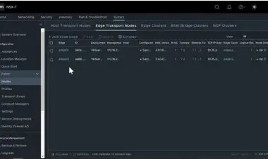 VMware NSX-T Federation Fundamentals