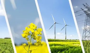 Renewable Energy And Co-generation