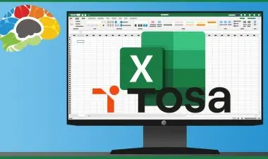 Learning Excel 365 - Advanced (TOSA)