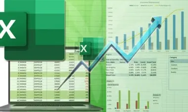 Microsoft Excel the complete training for beginners