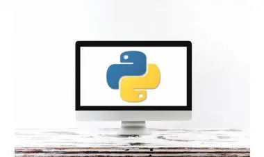 Python Basics Coding for Absolute Beginners : Programming