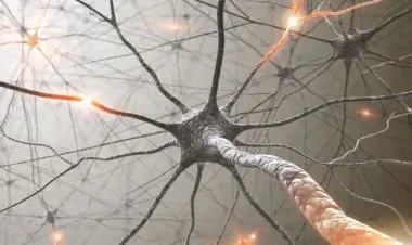 Neuroplasticity: How To Rewire Your Brain