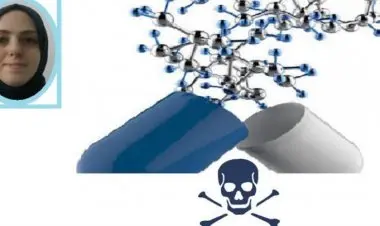 Complexity Tour via Chemistry-Pharmacology-Toxicology Bridge