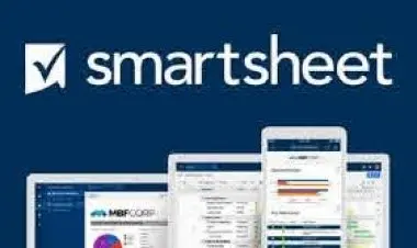 Smartsheet Project Management- The Complete Beginners Course