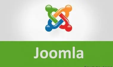 Learn How To Build A Professional Web Site By Using Joomla