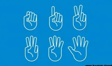 American Sign Language "Basics"