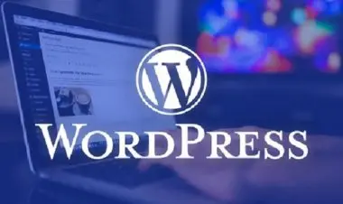 The Complete WordPress Website Full Course - Dashboard