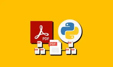 Python PDF Handling from Beginner to Winner 2023