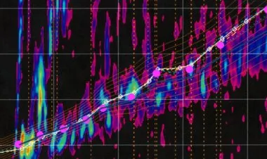 Learn Seismic Data Processing