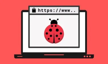 Learn Bug Bounty Hunting & Web Security Testing From Scratch