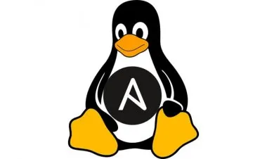 Ansible from Beginner to Advanced in No Time!