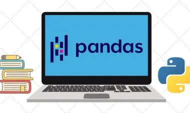 The Ultimate Pandas Bootcamp: Advanced Python Data Analysis