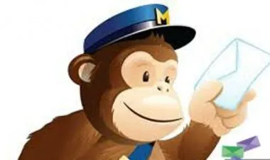 Learn How To Use MailChimp Email Marketing