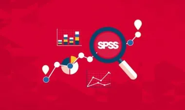 SPSS Beginners: Master SPSS