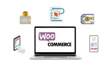 Advanced Woo-commerce customization Training for Freelancers