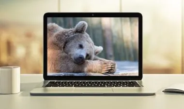 Hibernate: Advanced Development Techniques