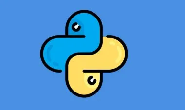 Python Programming  for Beginners : Learn Python Quickly