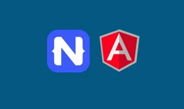 NativeScript with Angular code sharing