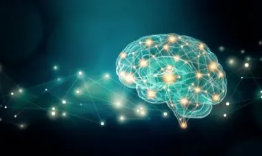 Neuroplasticity: The Ultimate Brain Rewiring Formula 3.0 ®
